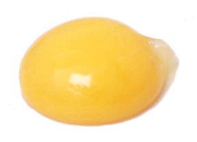 https://www.michaelscookbook.com/images/easyblog_articles/28/eggyolk.jpg